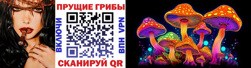 Купить закладки  Новокузнецк  Псилоцибиновые грибы ЛСД 